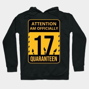 17th Birthday Officially a Quarateen teenager 17 Years Old Hoodie